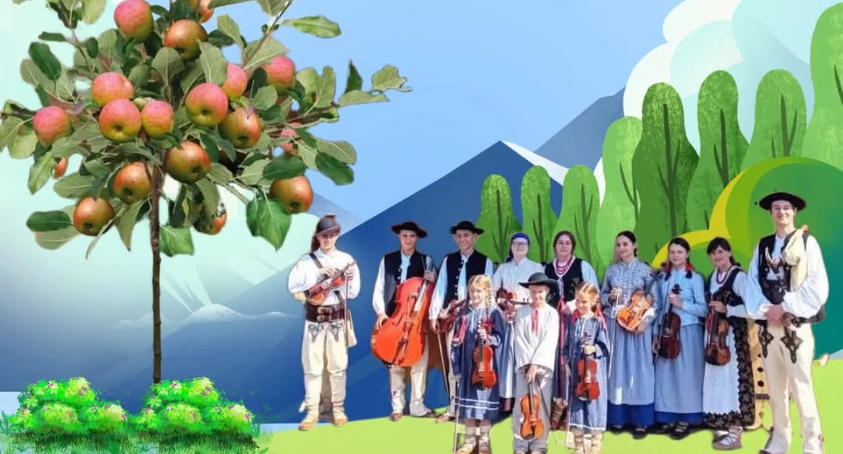 Folklor i Tradycje , Muzykanci Jabłonią przesłuchania czerwca Stryszawie - zdjęcie, fotografia
