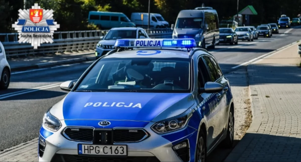 Osoby poszukiwanie i zaginione, Szczęśliwy finał poszukiwań - zdjęcie, fotografia