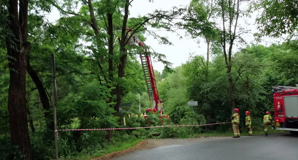 fot. Małopolska Alarmowo