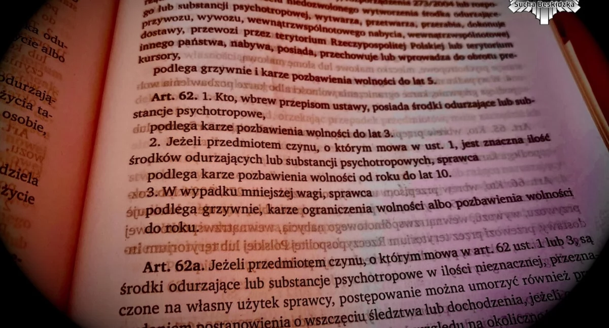 Kronika kryminalna, osoby zatrzymane posiadanie narkotyków - zdjęcie, fotografia