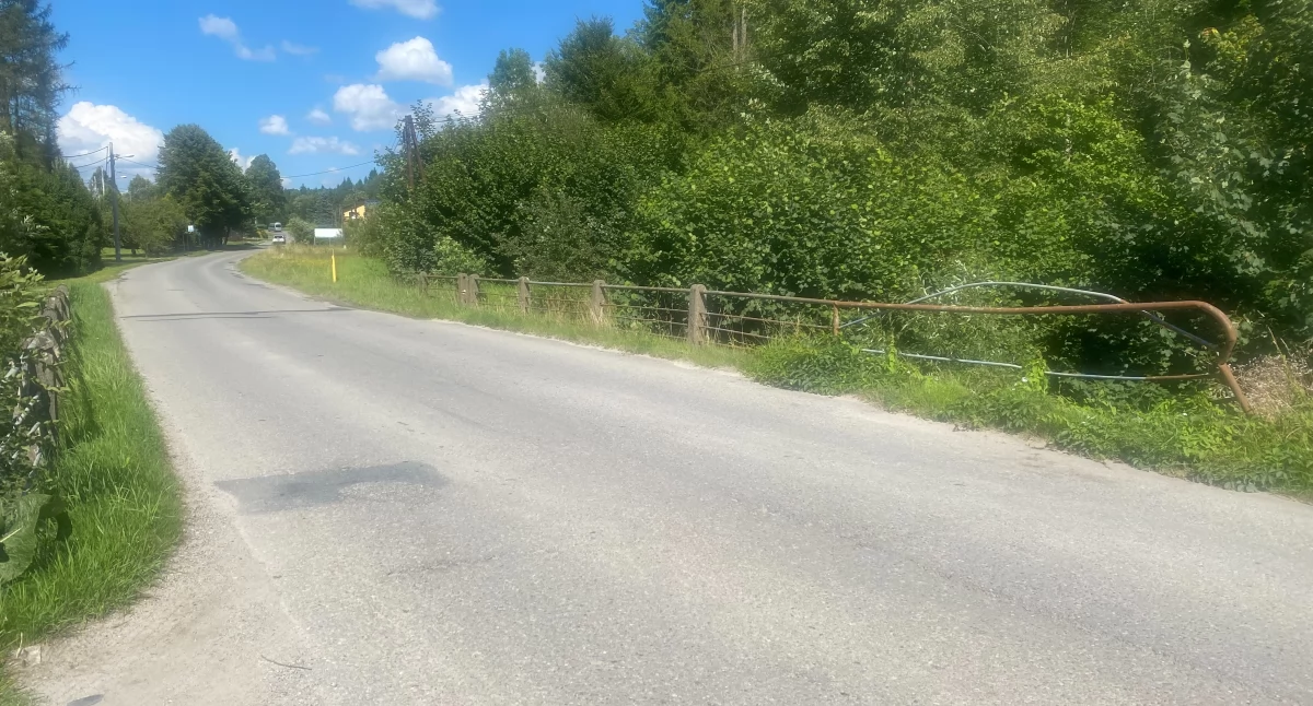 Drogi i Transport, Marsz mieszkańców Maczka Jordanowie walka bezpieczny chodnik - zdjęcie, fotografia