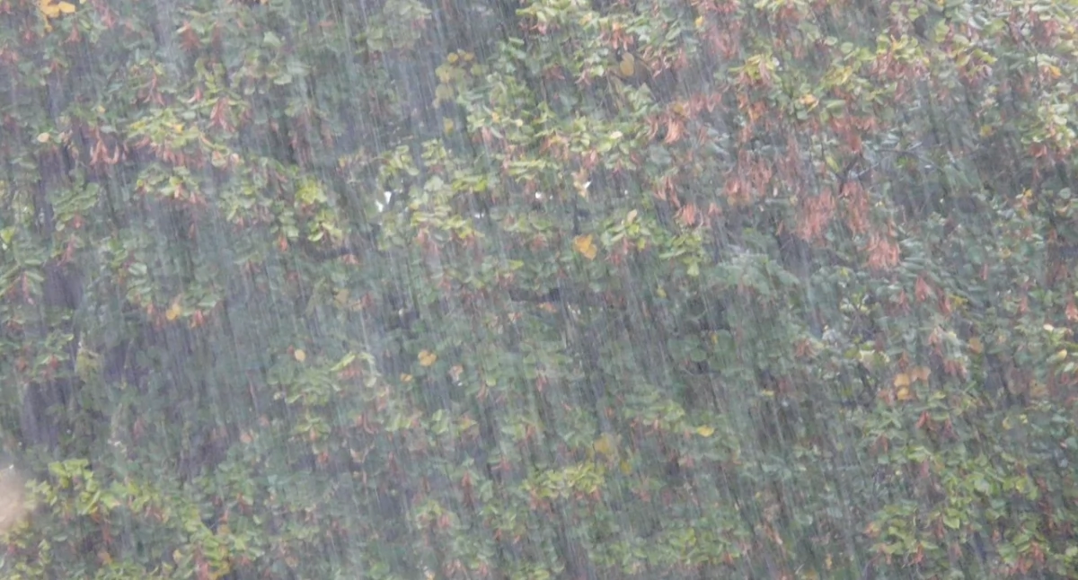 Pogodynka, Ostrzeżenie meteorologiczne powiatu suskiego Nadchodzą intensywne opady deszczu - zdjęcie, fotografia