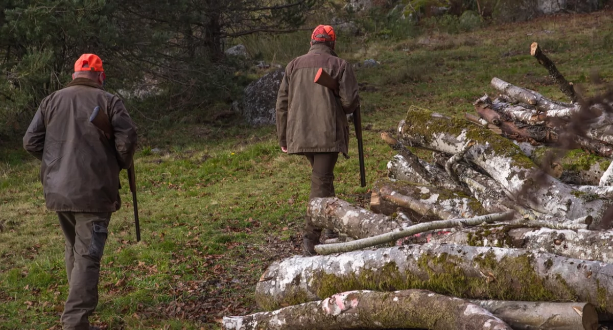 Informacje urzędowe, Gdzie kiedy polują myśliwi Suchej Harmonogram „Odyńca” - zdjęcie, fotografia