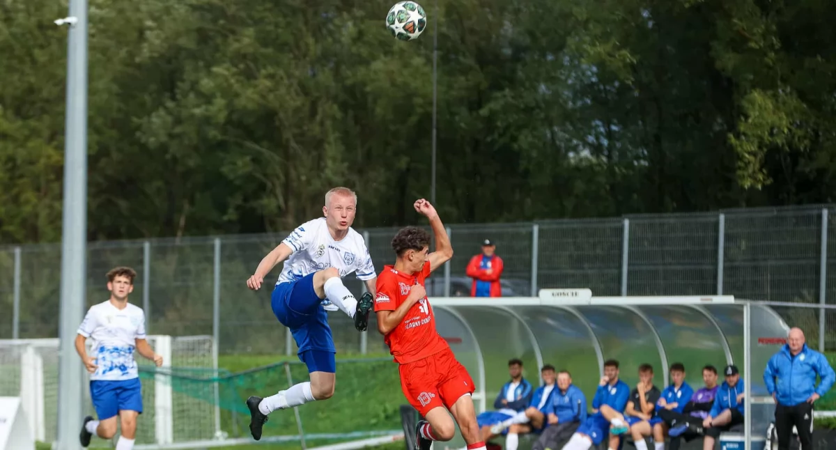 Foto: Maciej Zubek