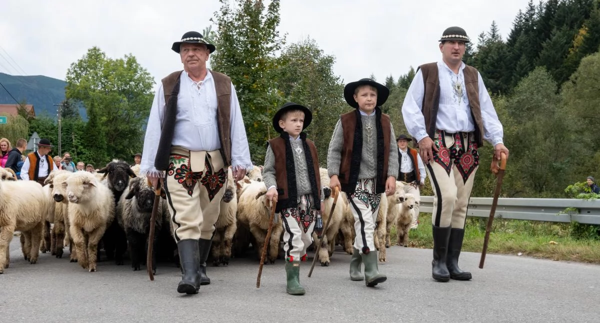 Folklor i Tradycje , Babiogórska Jesień zaproszenie największe święto góralskiej tradycji! - zdjęcie, fotografia