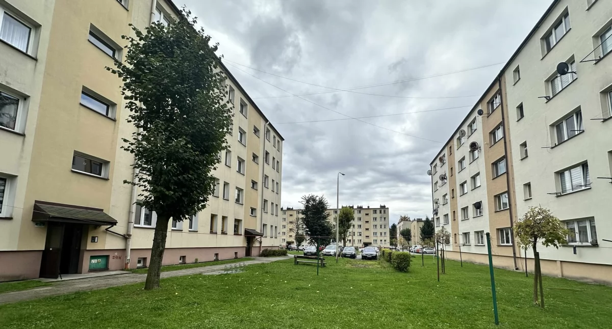 Zdjęcie Kazimierz Surzyn - fotografia