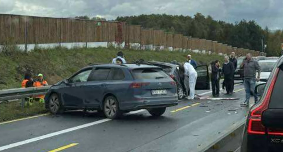 Z remizy, Druhowie Juszczyn Polany ratowali życie autostradzie - zdjęcie, fotografia