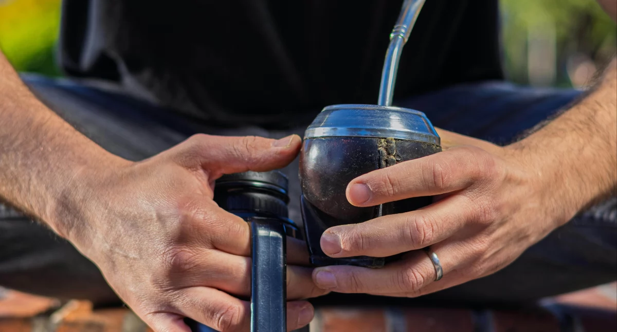 Materiał zewnętrzny, Yerba Początkujących Przewodnik Świecie Ostrokrzewu Paragwajskiego - zdjęcie, fotografia