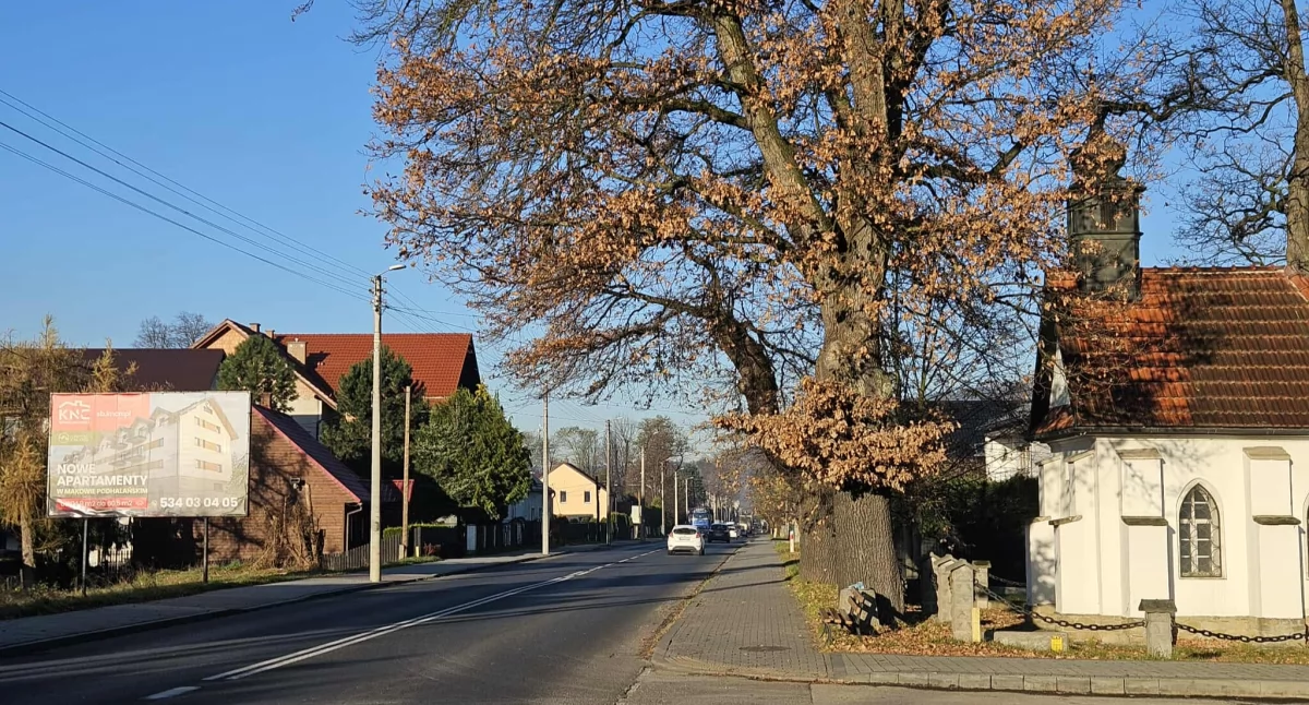 Inwestycje, przejście pieszych Makowskim Centrum Kultury Radni jednomyślnie porozumieniem GDDKiA - zdjęcie, fotografia
