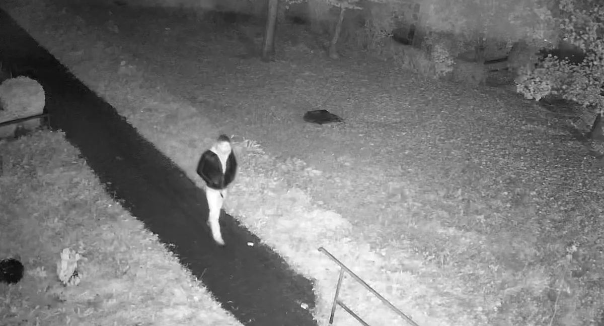 Kronika kryminalna, Policja szuka sprawcy bezsensownego ataku mieszkańców (video) - zdjęcie, fotografia