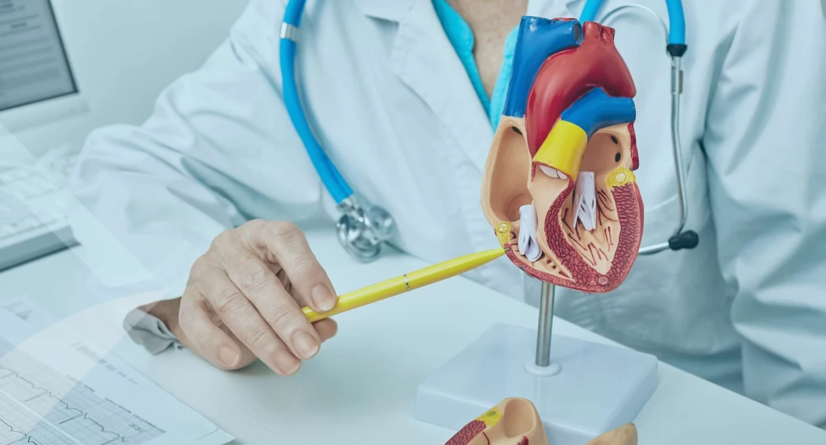Zdrowie i uroda, Suski szpital wzmocni opiekę kardiologiczną - zdjęcie, fotografia