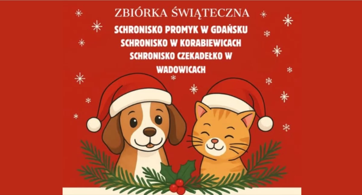Pomoc społeczna, Pomagamy Zwierzakom Święta Dołącz Świątecznej Zbiórki epaka Sucha Beskidzka! - zdjęcie, fotografia