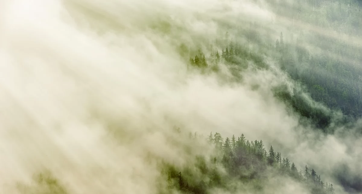 Pogodynka, Ostrzeżenie meteorologiczne powiatu suskiego! - zdjęcie, fotografia