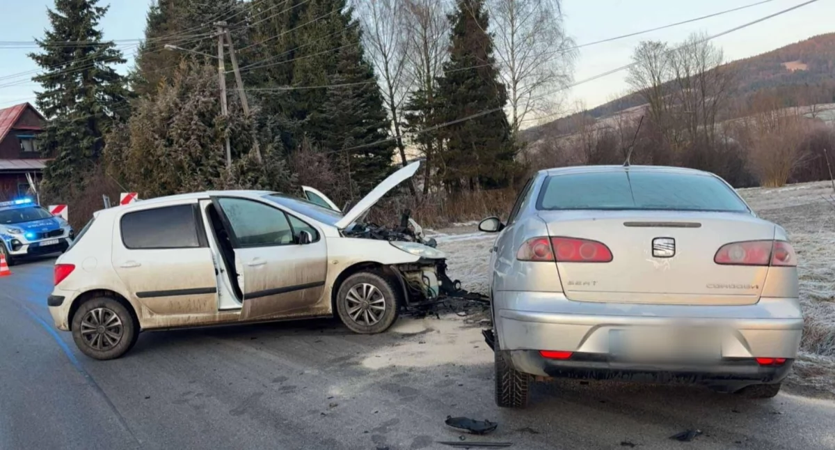 Fot. Małopolska alarmowo
