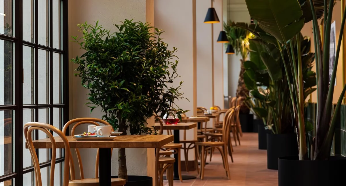 Cafeteria Oranżeria 