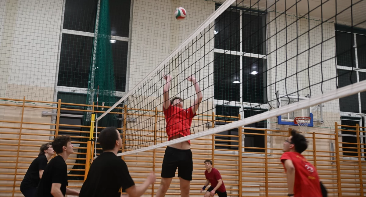 Liga Amatorska, Juszczyna wraca szczyt Dziki Volley myśli niego wspiąć - zdjęcie, fotografia