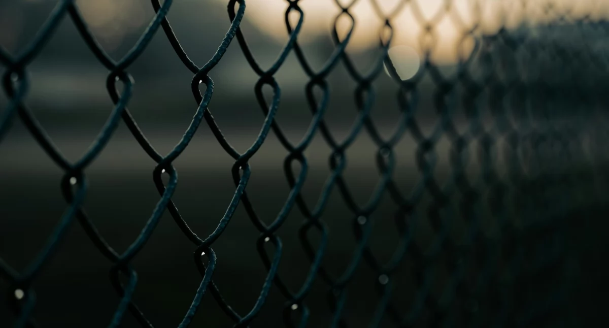 Materiał zewnętrzny, Ekspansja polskich systemów ogrodzeniowych rynku niemieckim - zdjęcie, fotografia