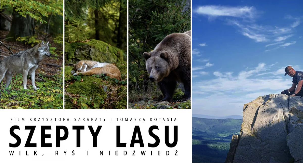 Film i Teatr, pokazał Babiogórskiego Parku Narodowego zwiastun „Szeptów lasu” - zdjęcie, fotografia