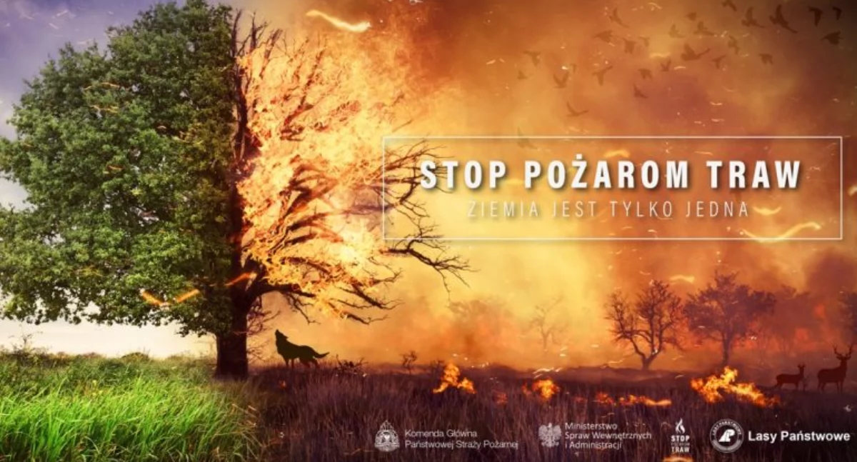 Pożary , Alarm powiecie suskim rekordowa liczba pożarów - zdjęcie, fotografia