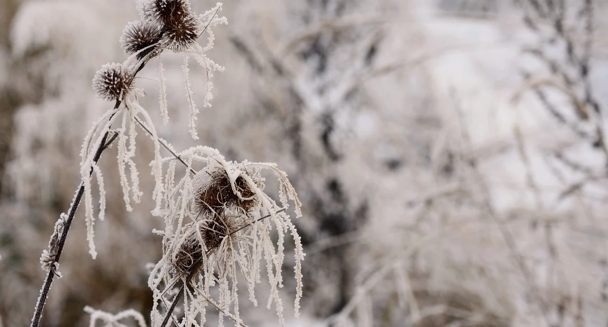 Pogodynka, Ostrzeżenie meteorologiczne powiatu suskiego - zdjęcie, fotografia
