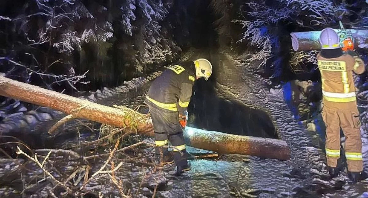 fot.: Małopolska Alarmowo