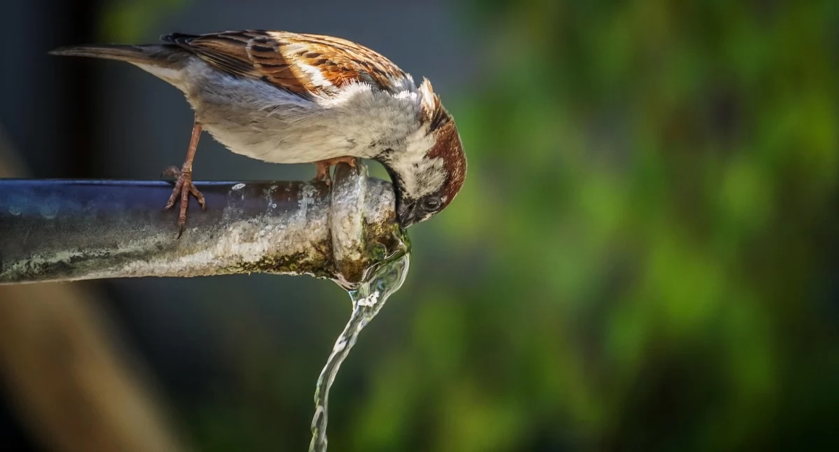 Inwestycje, lepszą wodę kanalizację Małopolsce gminy mogą składać wnioski - zdjęcie, fotografia