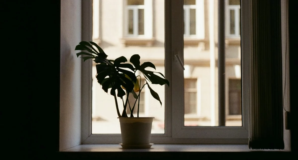 Materiał zewnętrzny, Montaż parapetów wewnętrznych granitu kwarcu konglomeratu najważniejsze różnice wskazówki przed zakupem - zdjęcie, fotografia