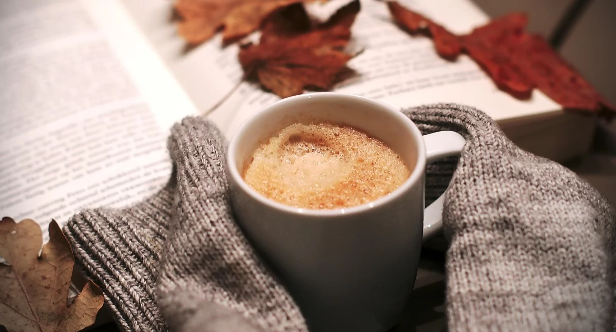 źródło: pixabay.com