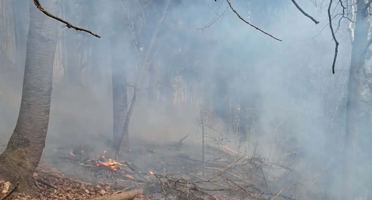 fot. Małopolska Alarmowo