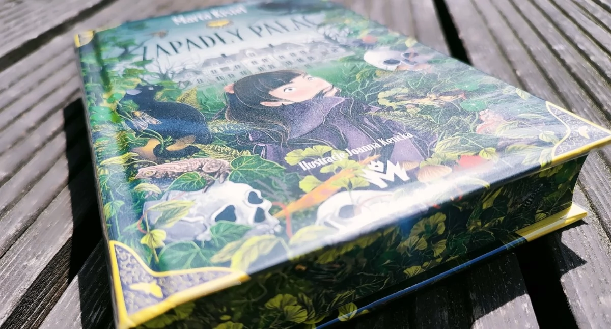 Literatura i poezja, „Zapadły pałac” ilustracjami Suszanki wśród najciekawszych książek nastolatków - zdjęcie, fotografia