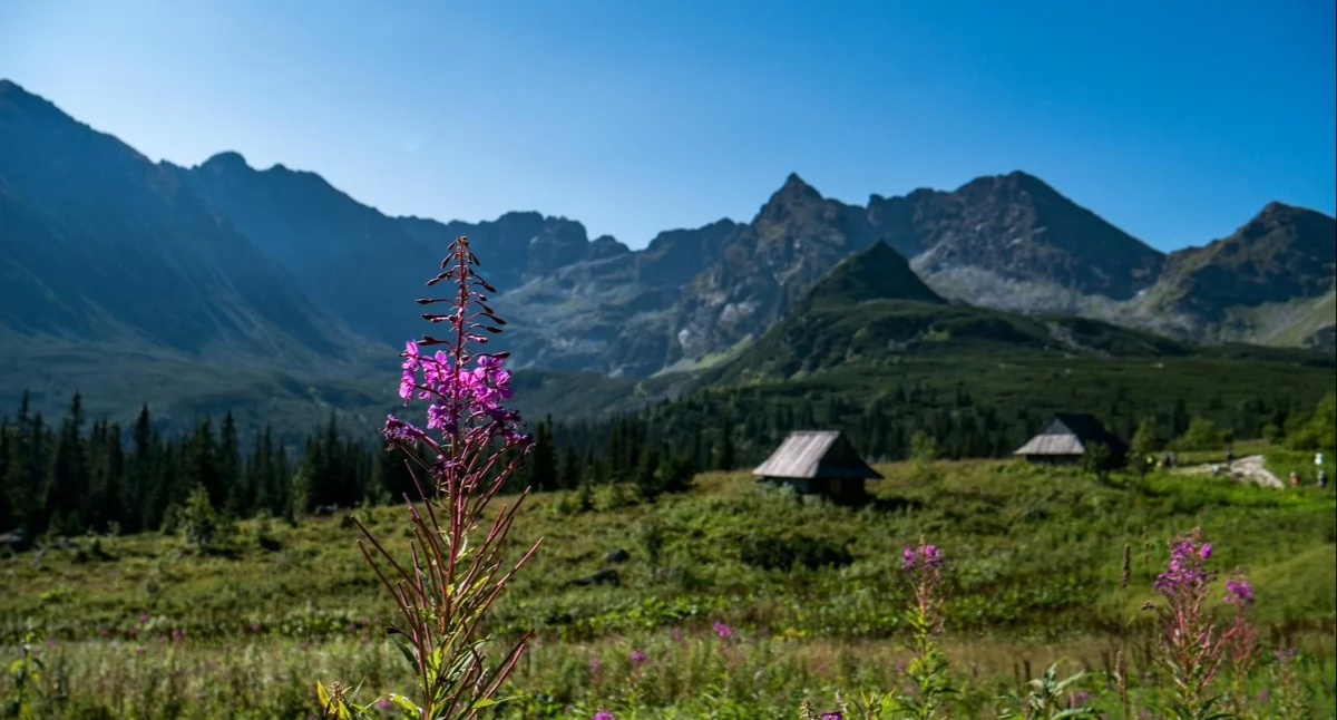 Materiał zewnętrzny, Luksusowy weekend Tatrach zaplanować niezapomniany wypoczynek blisko natury - zdjęcie, fotografia