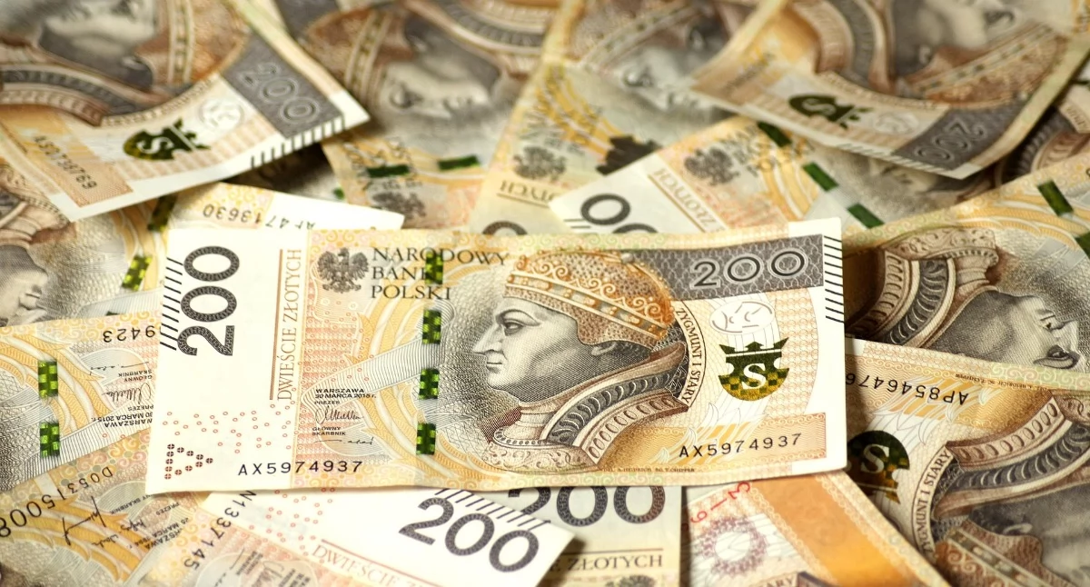 Finanse i Budżet, Nawet tysięcy złotych lokalnych organizacji Ruszył nabór programu „Równać Szanse” - zdjęcie, fotografia