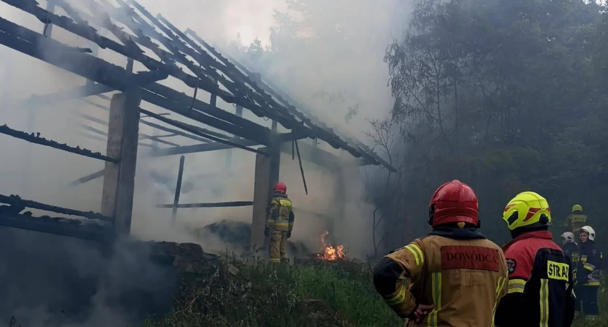 fot.: Małopolska Alarmowo / Krystian