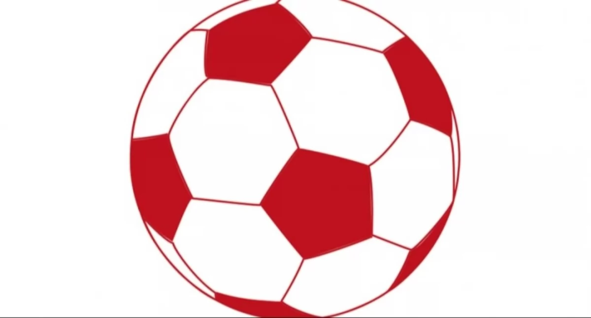 Piłka nożna, Sonda mundialowa finale kibicujecie - zdjęcie, fotografia
