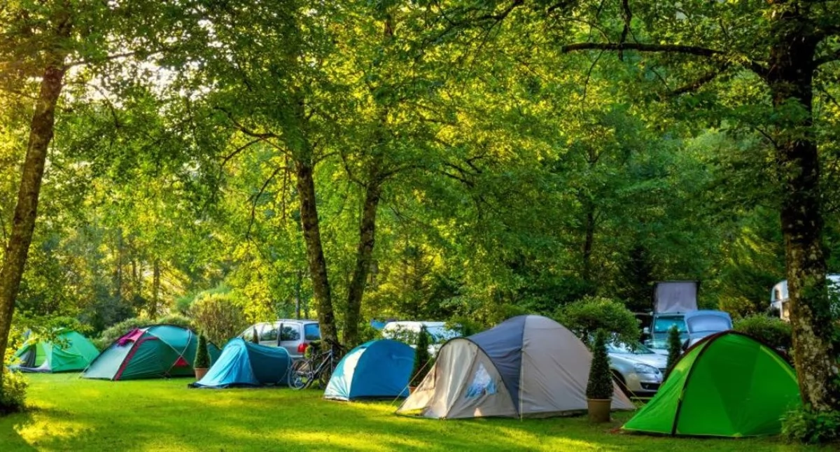 Nasze sprawy, Restrykcje koloniach Będzie bezpieczniej - zdjęcie, fotografia