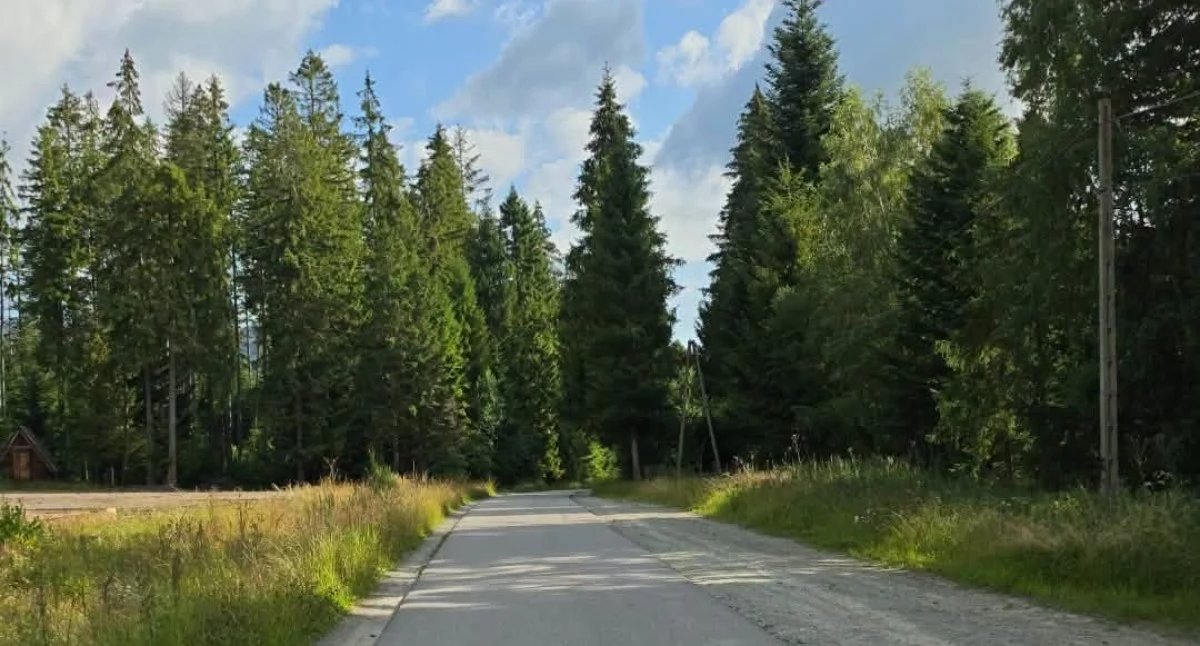 Fot. Babiogórski Park Narodowy