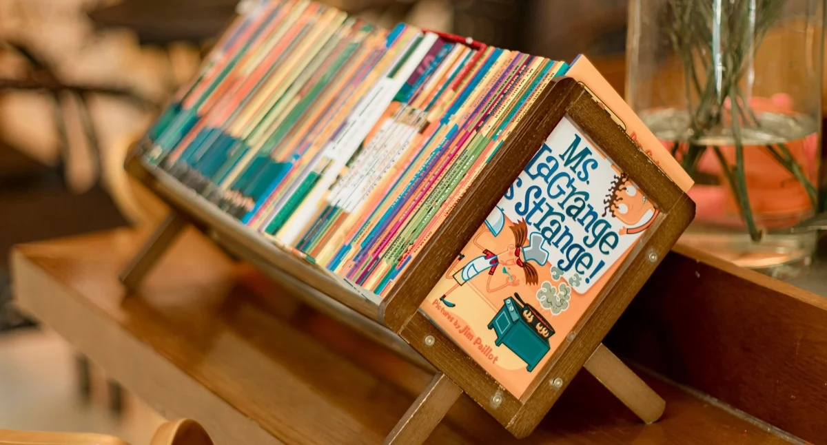 Materiał zewnętrzny, Drewniana biblioteczka Montessori dlaczego warto postawić polską produkcję - zdjęcie, fotografia