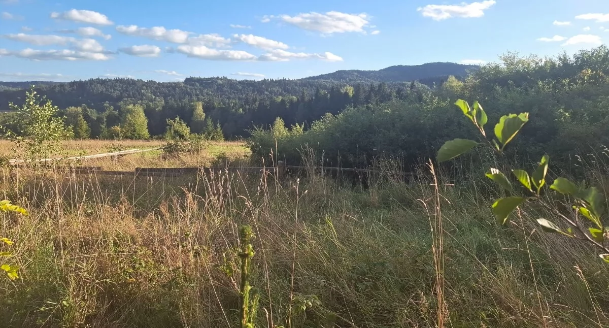 Rozrywka, Twoja rodzina podejmie wyzwanie Sidzinie szykuje wyjątkowa terenowa - zdjęcie, fotografia