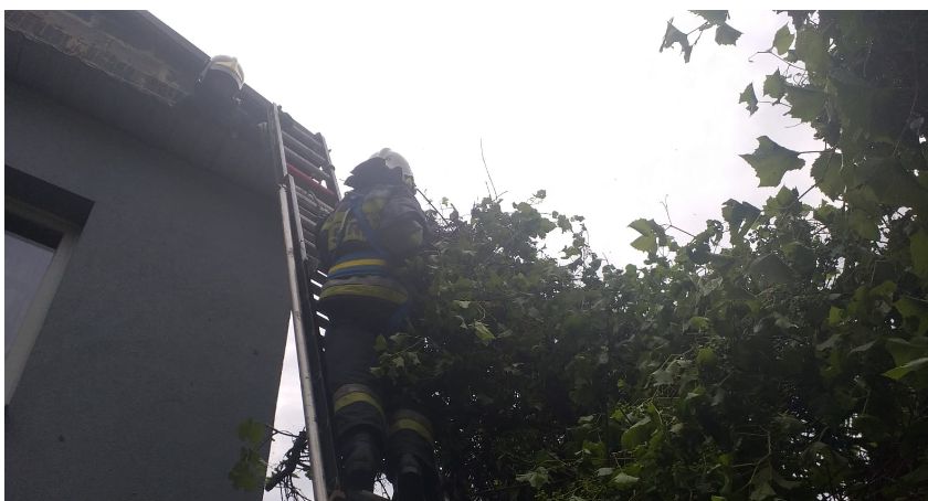 Fot. KP PSP w Suchej Beskidzkiej 