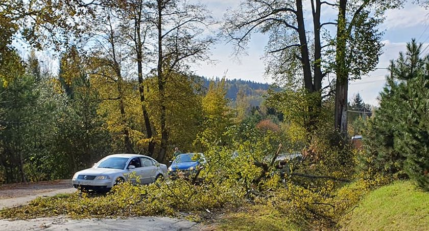 Fot. Małopolska alarmowo