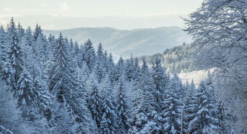 foto: https://pixabay.com/pl/photos/zima-w-g%c3%b3rach-beskidy-krynica-zdr%c3%b3j-1118611