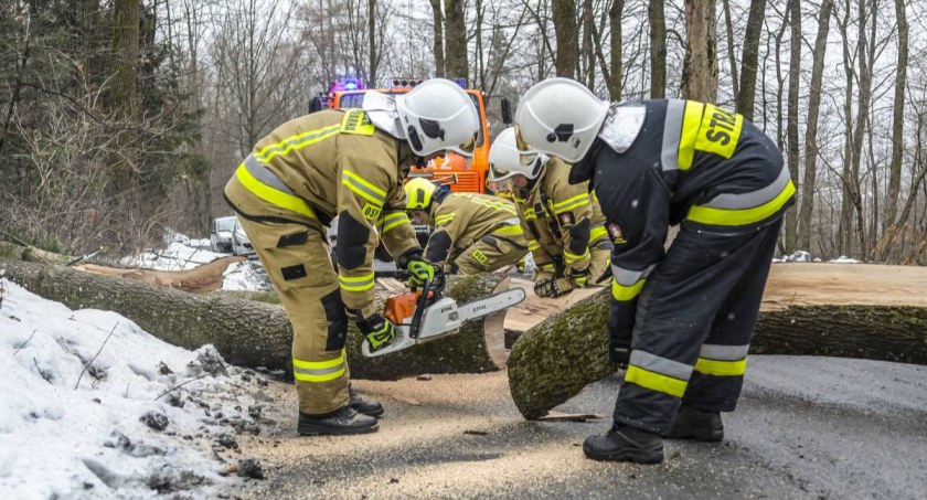 Fot. Mateusz Wilczek/Sucha24.pl