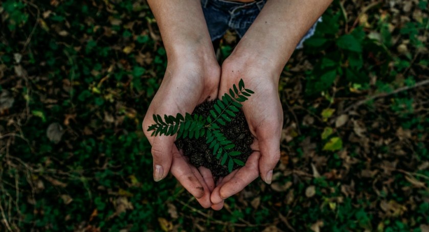 Źródło: unsplash.com L