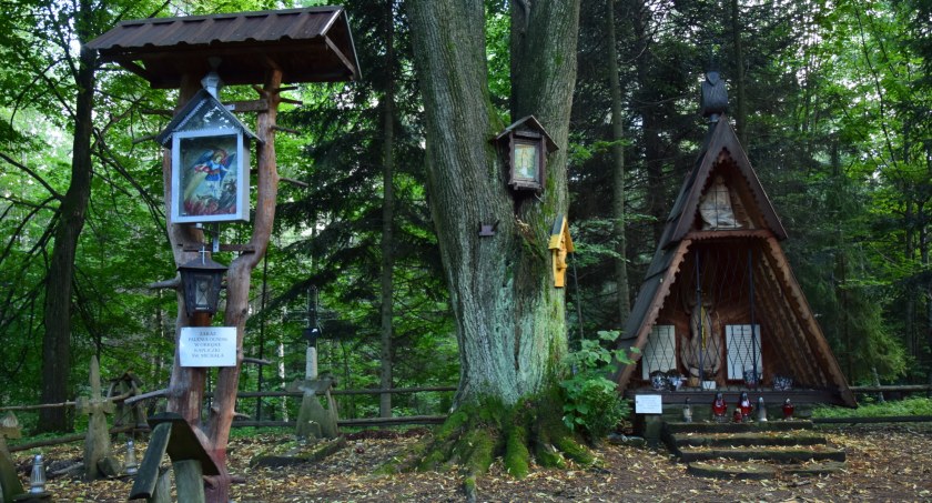 Fot. Góry bez granic