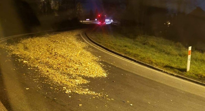 Fot. Małopolska alarmowo