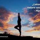 zdjęcie nr 10