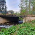 zdjęcie nr 7