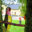 zdjęcie nr 38
