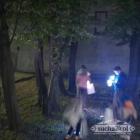zdjęcie nr 11