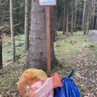 zdjęcie nr 13